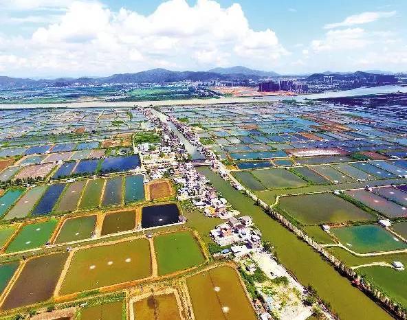 清远华侨农场最新动态,科技引领生活革新