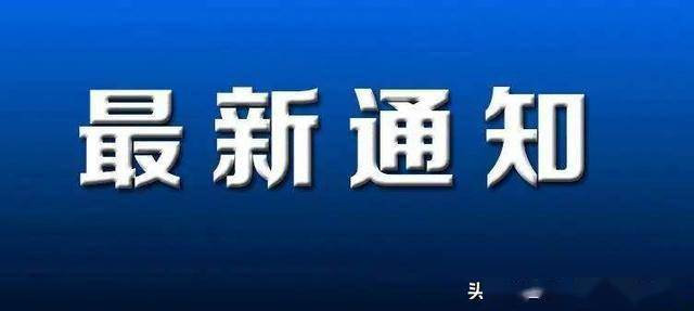 兰卅新区招聘最新动态,多维度视角下的深度解析