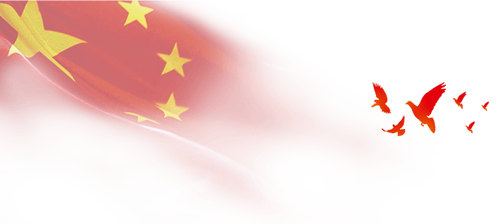 艾尔发币最新动态,科技新星重塑生活体验