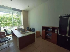 新宁房屋出租最新消息,家的温馨故事启程